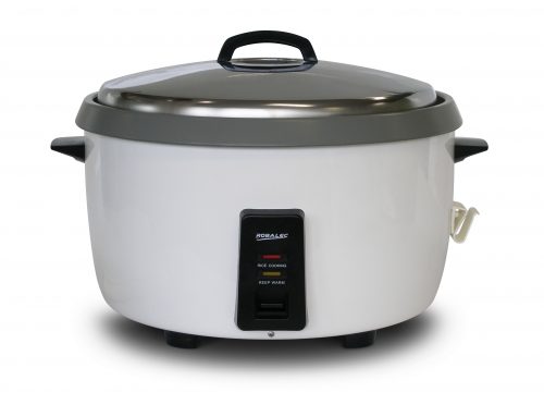 SW10000 rice cooker