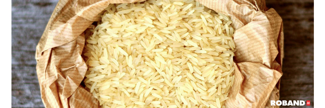 Robalec rice cooker & warmer - rice